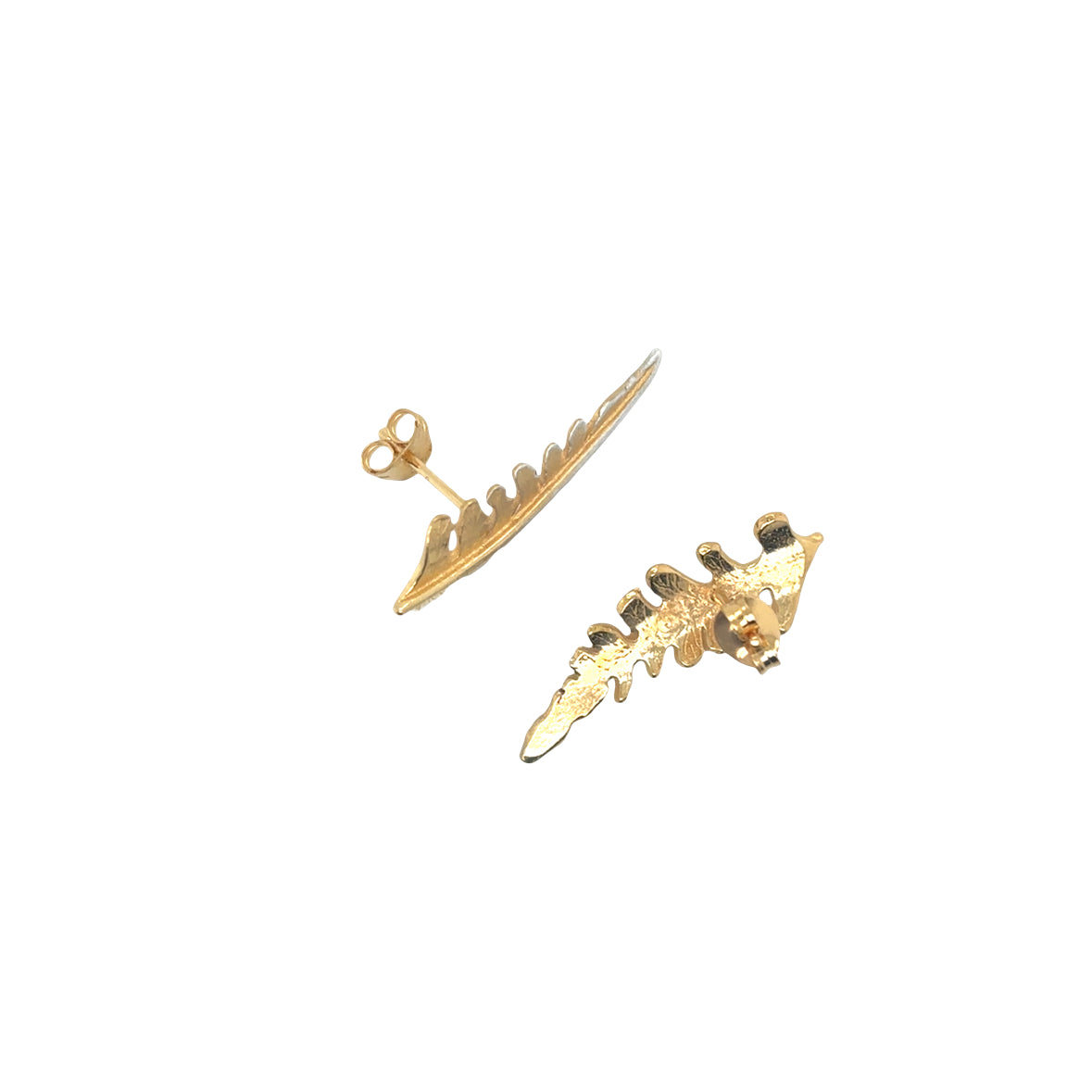 Medium silver fern with ombre Earrings