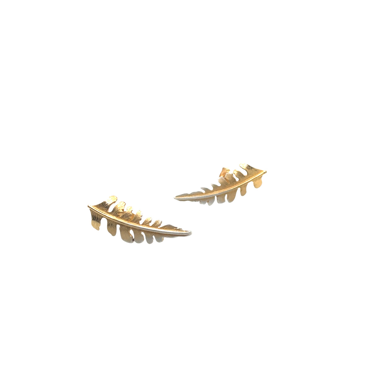Medium silver fern with ombre Earrings