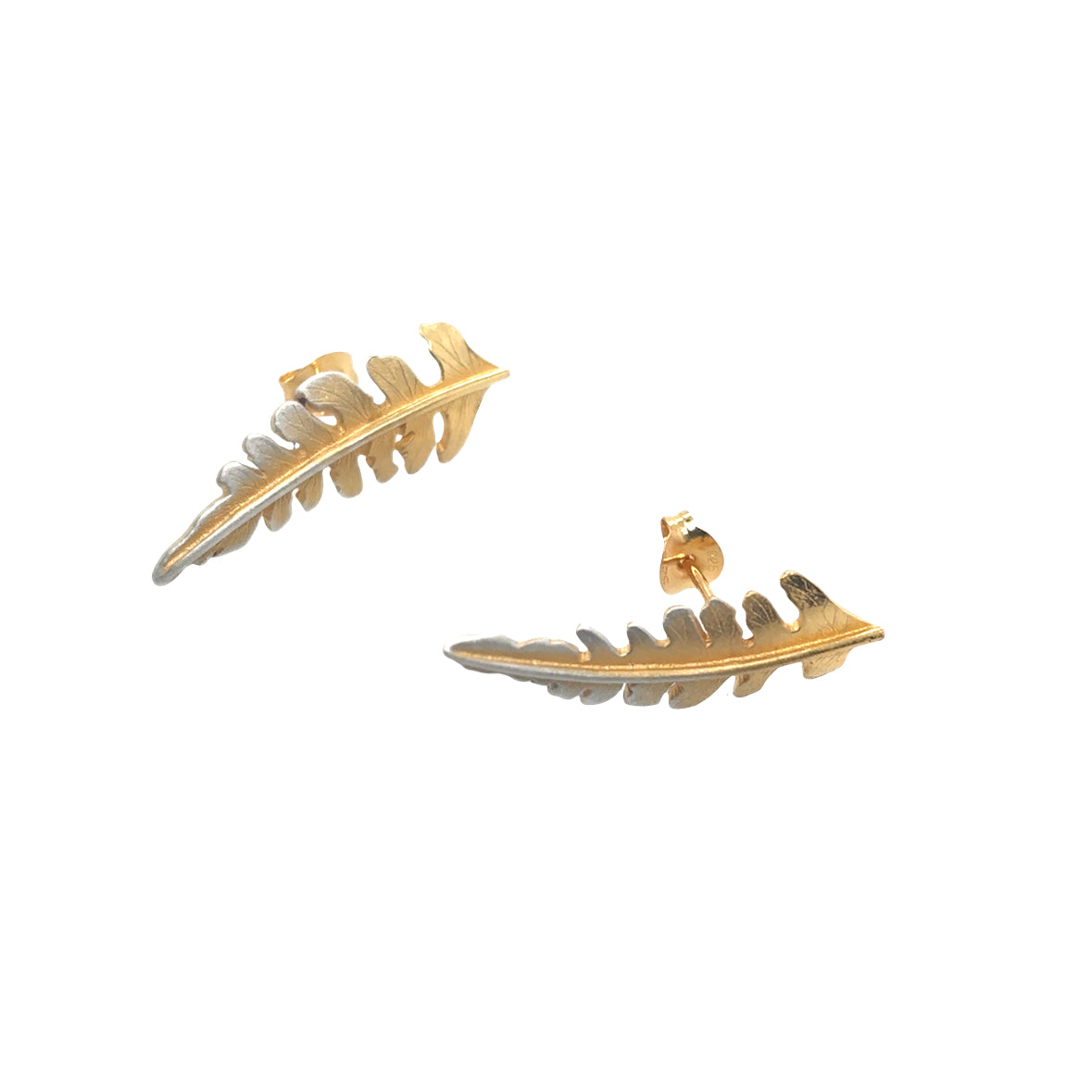 Medium silver fern with ombre Earrings