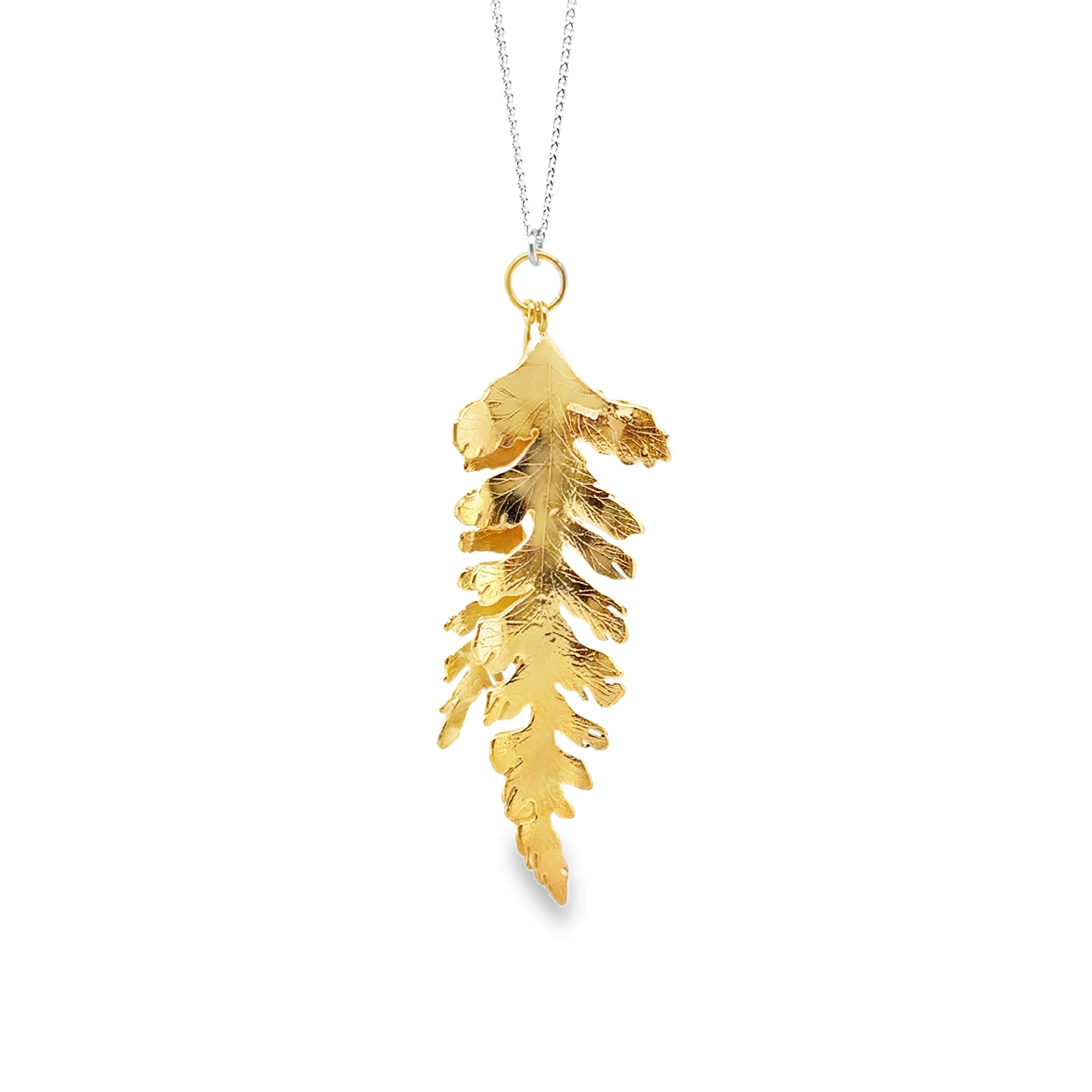 Large Silver Fern with Ombre Necklace
